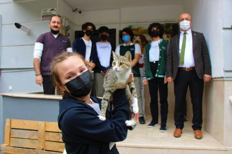 Liseli gençler ayağı kırılan kediyi para toplayıp ameliyat ettirdi
