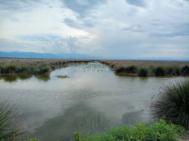Kaymakamdan muhtarlara ’sulama suyu’ uyarısı: 