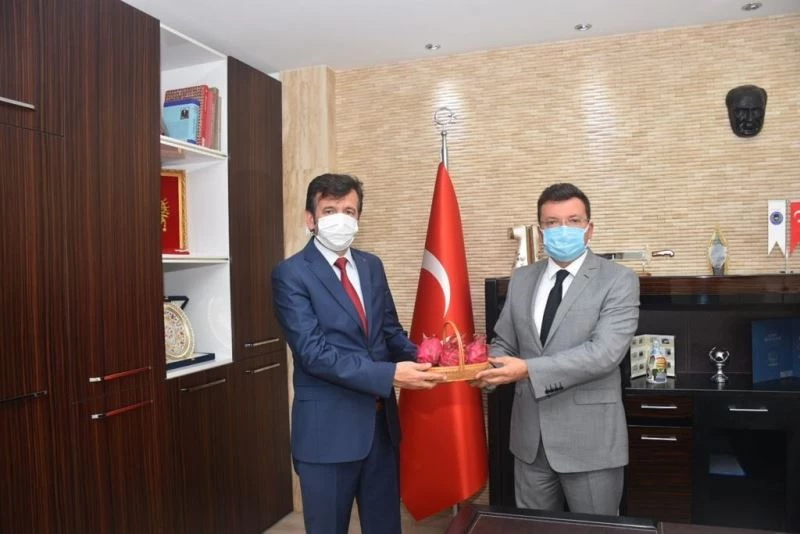 Aydın Cezaevi’nde kurulan pitaya serası ilk ürünlerini verdi
