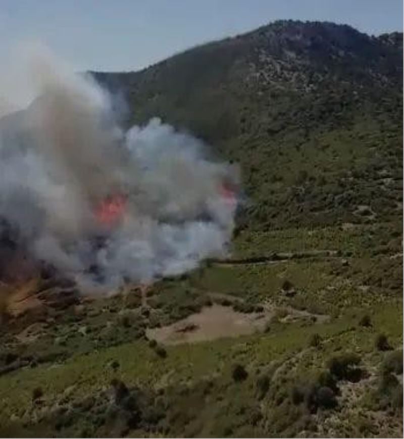 Burdur Bucak’ta orman yangını
