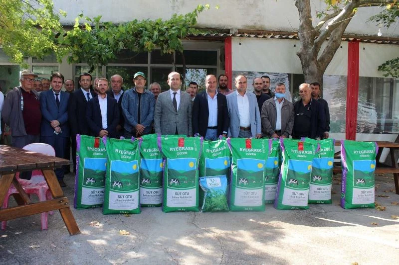Üreticilere İtalyan çimi ve yonca tohumu dağıtıldı