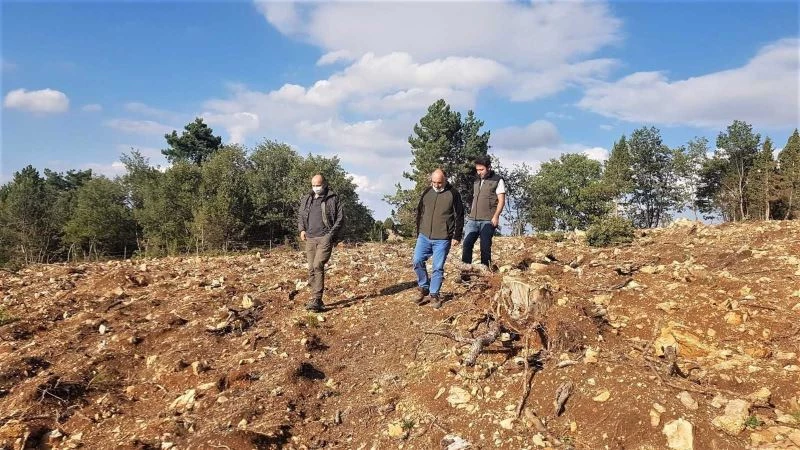 Müdür Keskin: “Ormanlarımızı yarınlara sağlıkla taşımak bizim en önemli görevimiz”
