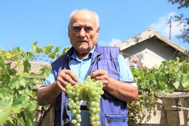  Bu sayede pazar ve markete gitmiyor
