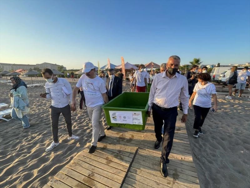 Uydu takip cihazı takılan 3 caretta carettanın göç yolculuğu izlenecek