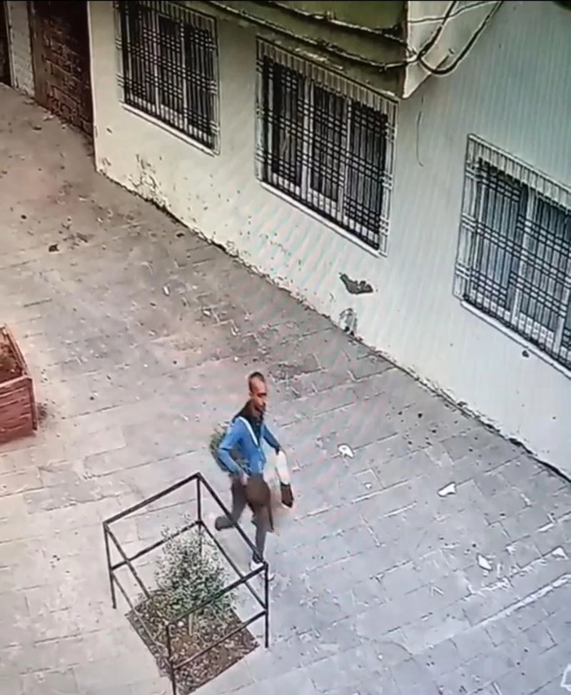 Batman’da hırsızlar fide ağaçlarını çaldı
