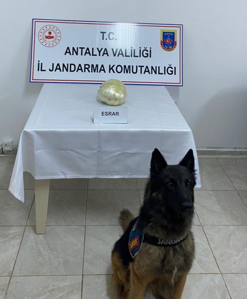 Yolcu otobüsündeki uyuşturucuyu narkotik köpeği buldu
