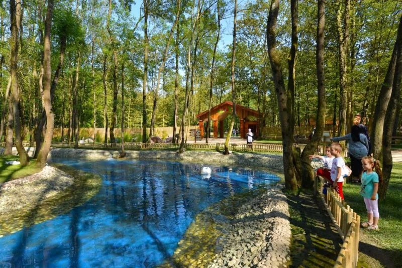 Ormanya, Türkiye’nin markası oldu
