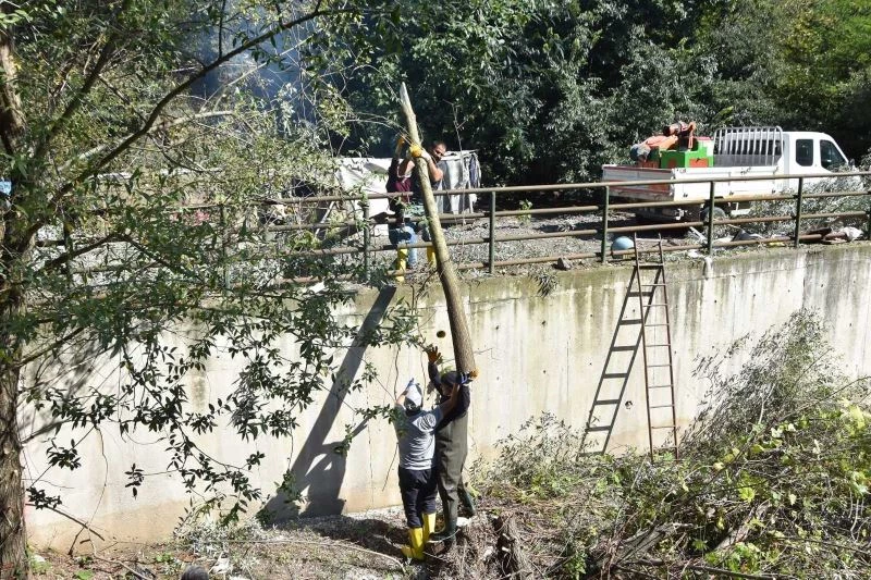 Dere içerisindeki ağaçlar sel ve taşkın riskine karşı kesildi

