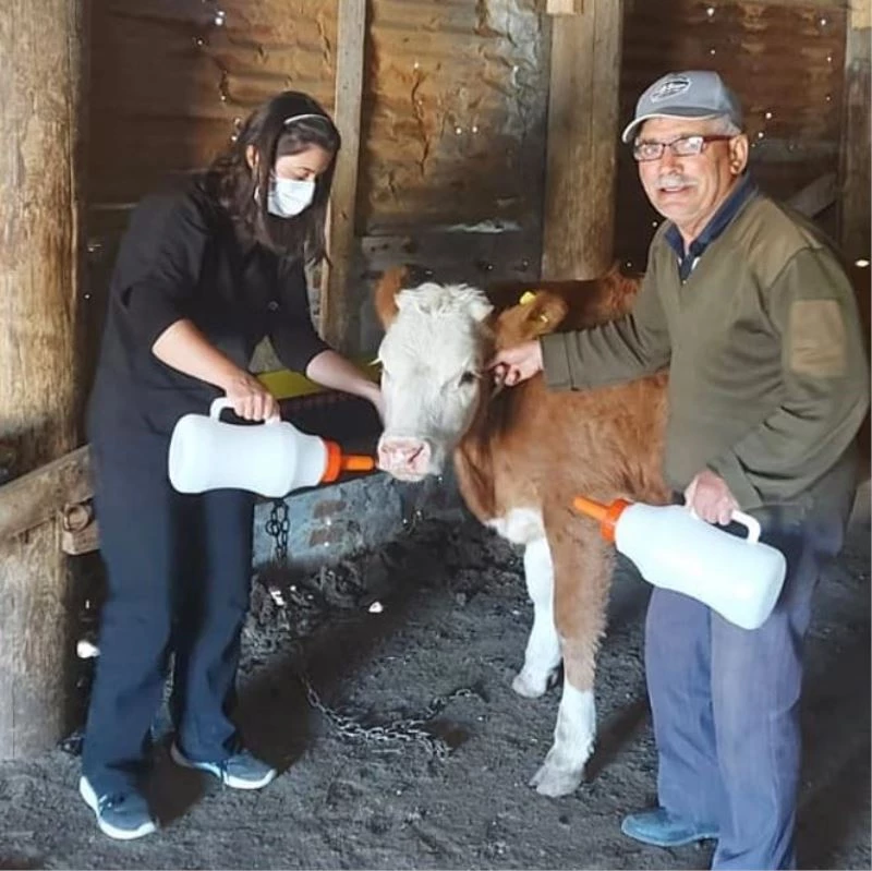 İmranlı’da Yaşasın Buzağılar Projesi kapsamında biberon dağıtıldı
