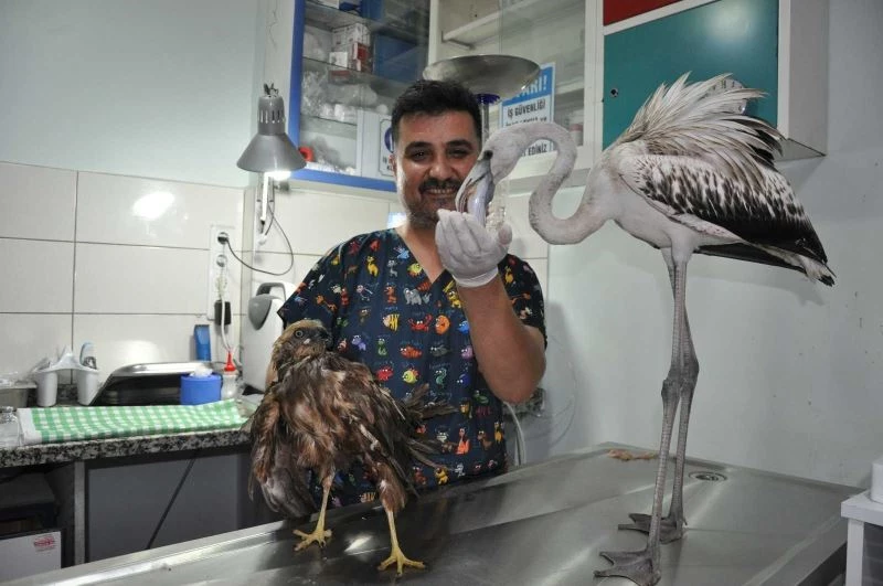 Mersin’de kuşlara yardım seferberliği
