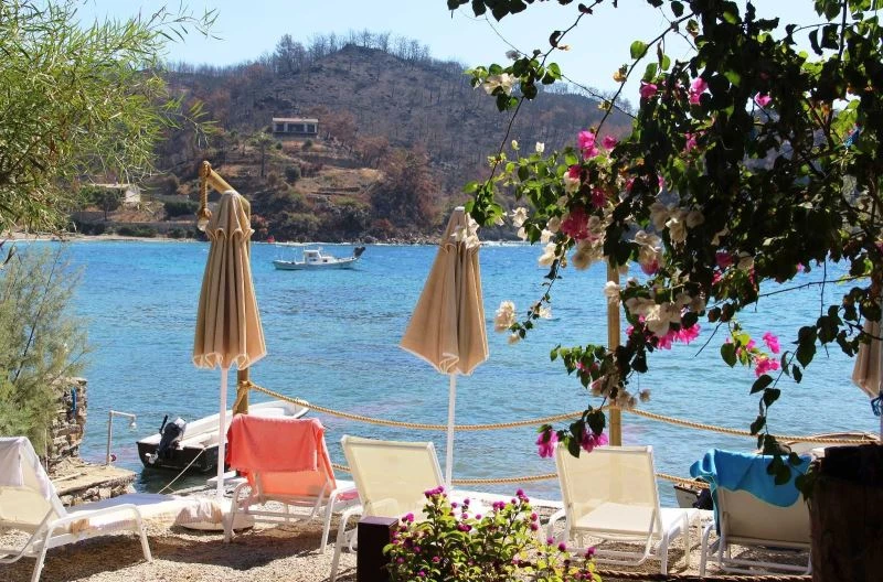 Muğla’daki yangının ardından yaralar sarılmaya devam ediyor
