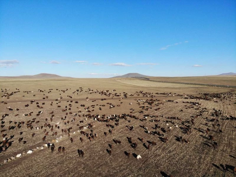 Göçerlerin aylar süren zorlu dönüş yolculuğu başladı
