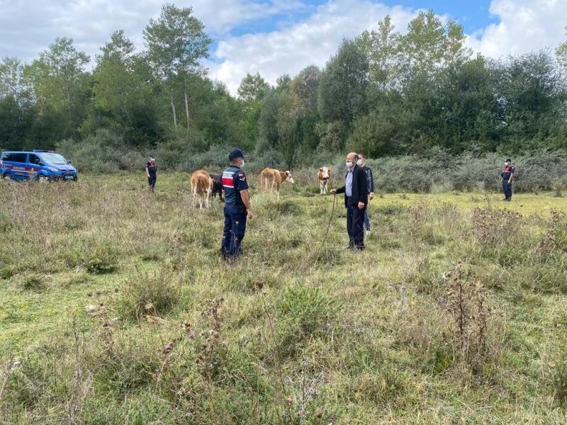 Otlattığı hayvanlar kayboldu, jandarma 6 kilometre uzakta buldu

