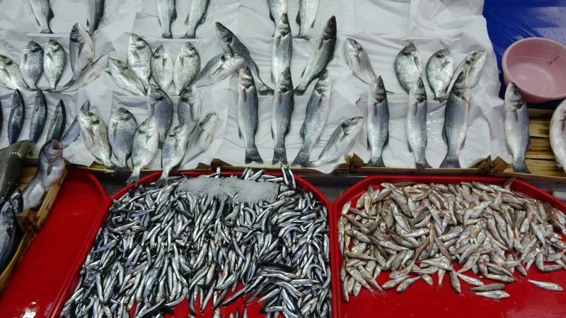 Balık tezgahlarındaki fiyatlar vatandaşları tatmin etmedi
