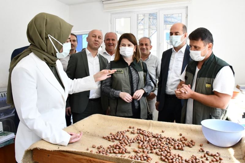 Kılıç: “Fındık bizim olmazsa olmazımız”
