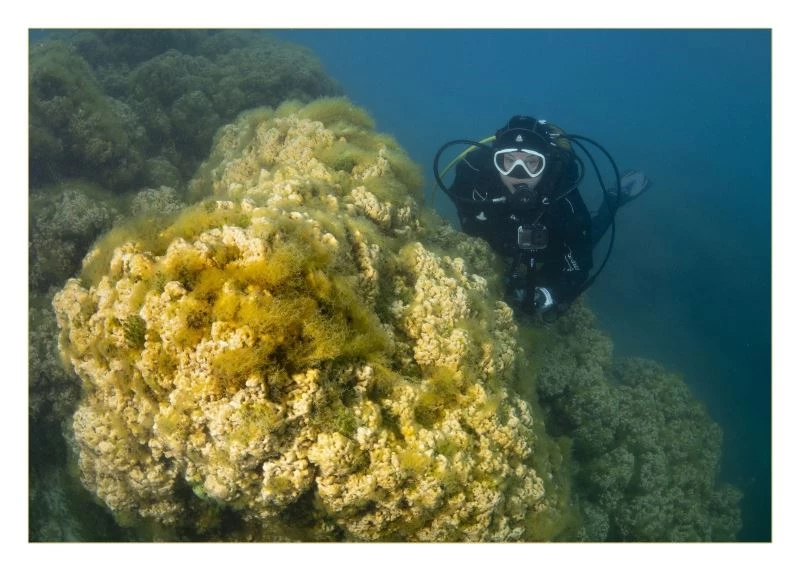Salda Gölü’nün ekosistemi bilimsel çalışmalar için görüntülendi
