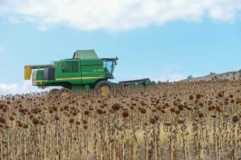 Bu hasadın ürünleri ihtiyaç sahiplerine ulaştırılacak

