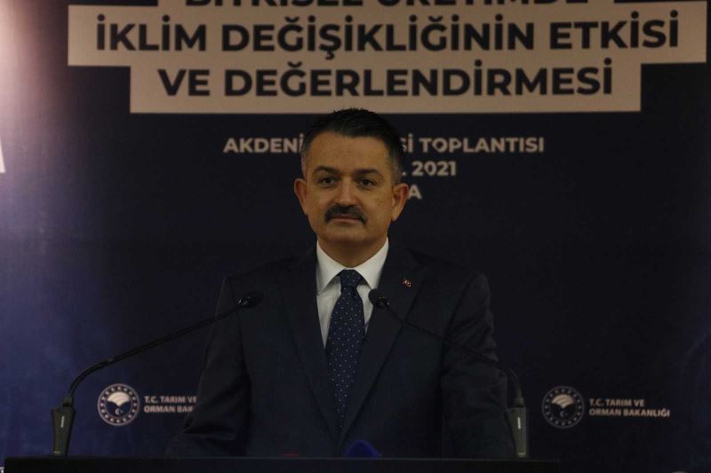 Bakan Pakdemirli: 