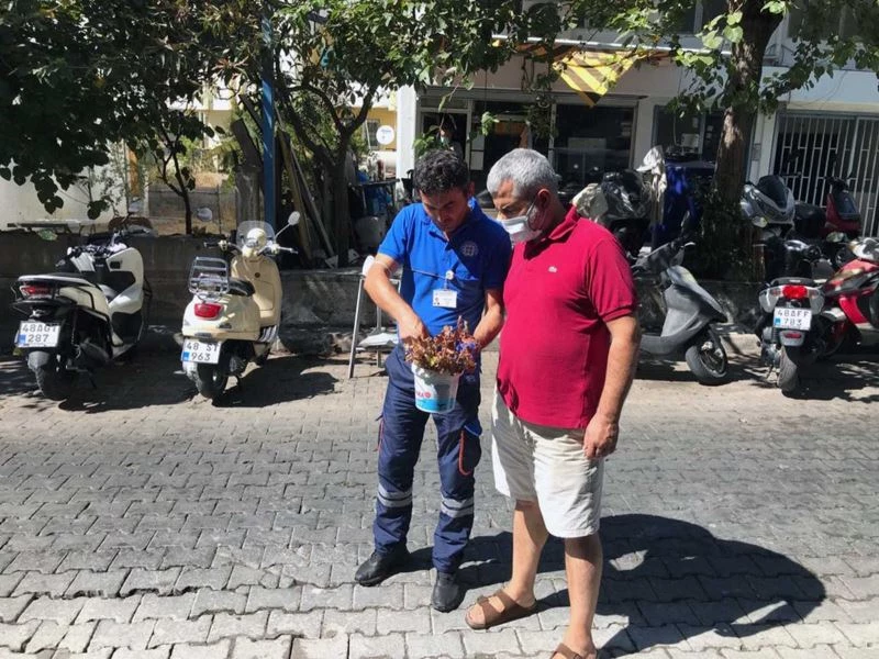 Vektörle mücadele devam ediyor
