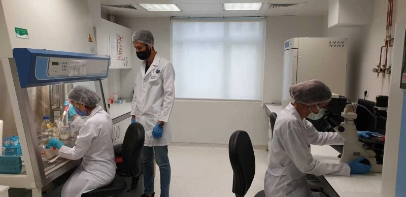 Tez projesine TÜBİTAK’tan destek
