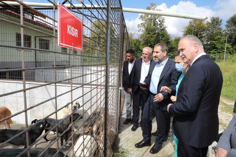 Özlü’nün projelerine tam puan
