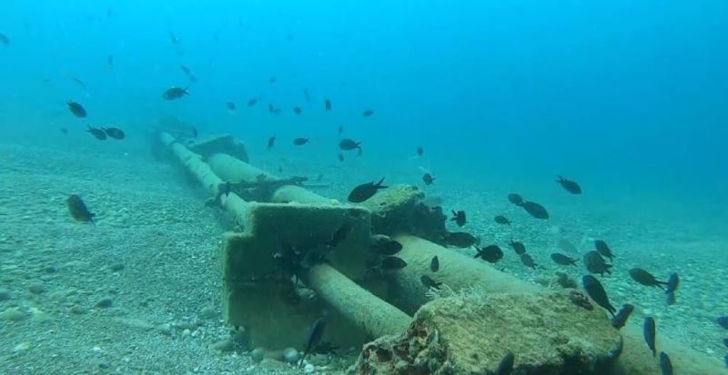 Kızıldeniz’den Akdeniz’e gelen istilacı balık türleri yönünü Ege denizine çevirdi
