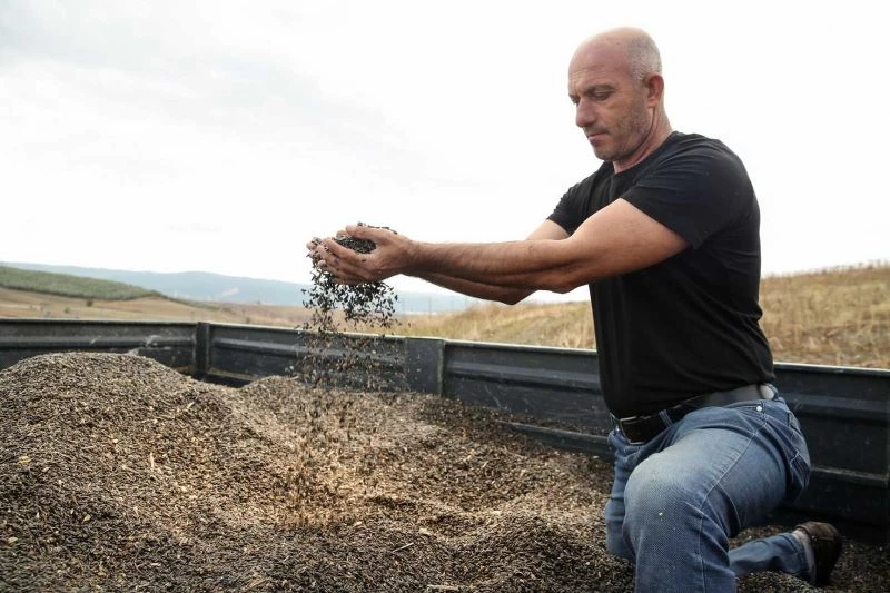 Bu hasadın ürünleri ihtiyaç sahiplerine ulaştırılacak
