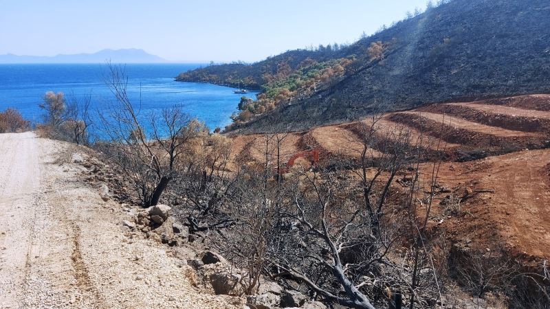 İnşaat yapılıyor denilen yanan koyda, lavanta bahçesi yapıldığı ortaya çıktı
