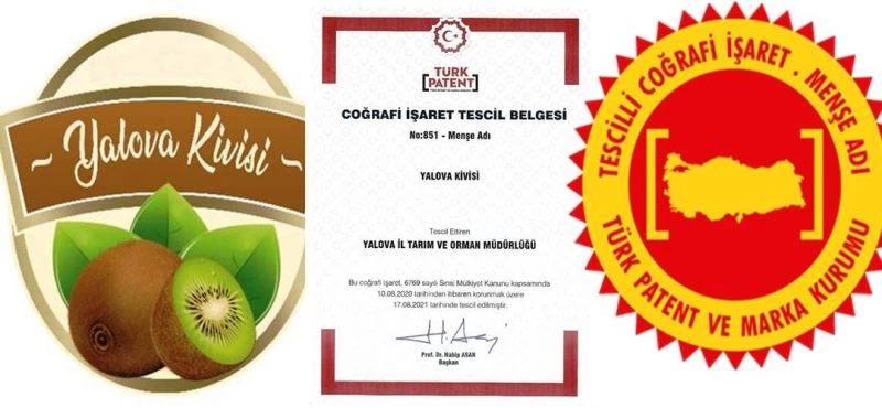 Yalova kivisi coğrafi işaretle tescillendi
