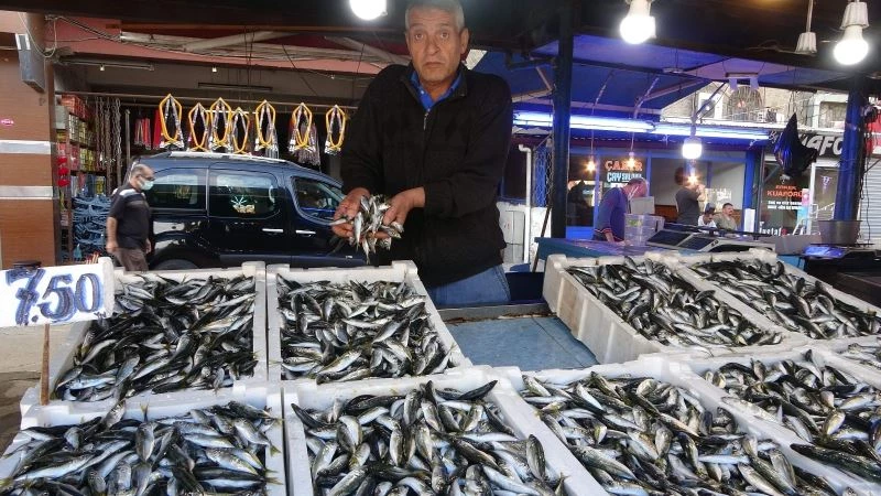 Balıkçılar palamudu bekliyor
