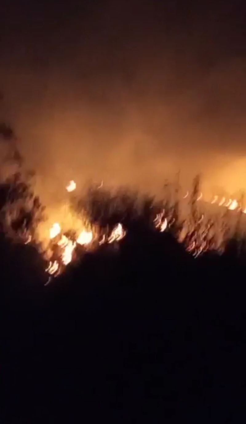 Tekirdağ’da otluk ve ağaçlık yangını
