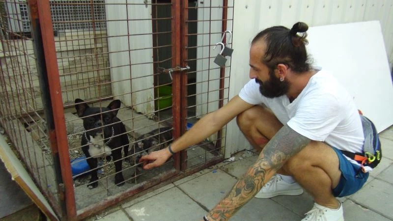  Özel kafesteki cins köpek yavrularını çalmakla bitiremedi, rahatlığı pes dedirtti
