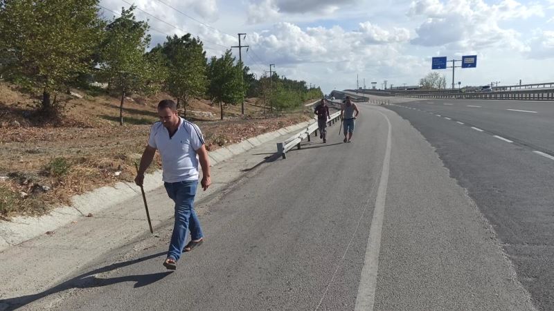 Kesime götürülen inek ortalığı birbirine kattı
