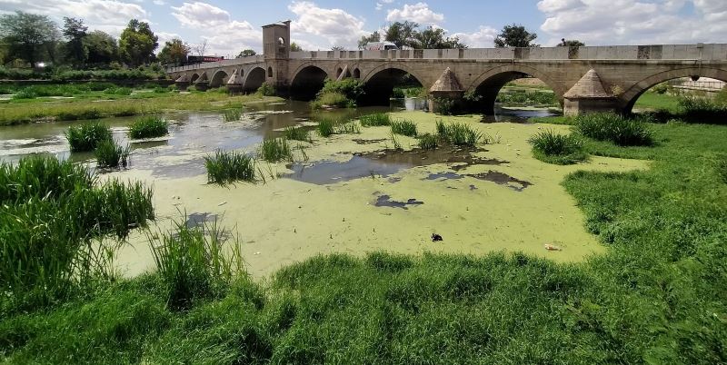 Tunca Nehri çöp ve yosunlarla kaplandı
