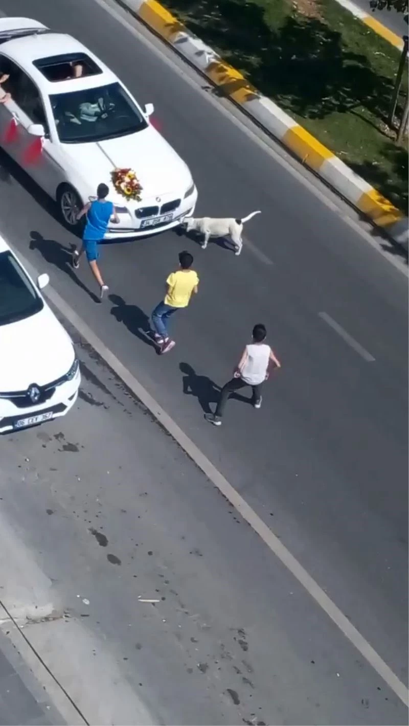 (Özel) Çocukların tehlikeli bahşiş oyunu kamerada

