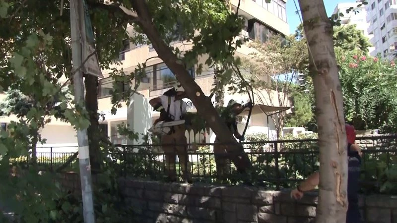Cadebostan’da ağaç, elektrik direğinin üzerine devrildi
