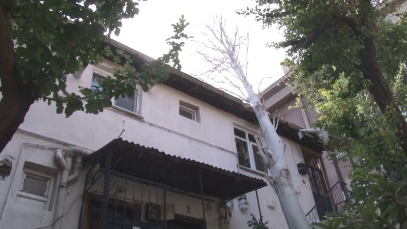 Maltepe’de şiddetli rüzgarda devrilen ağaç evin çatısına düştü
