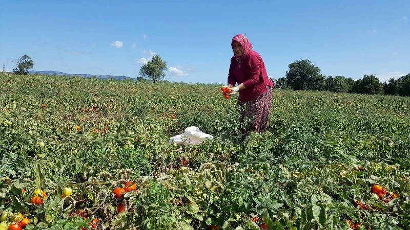 Karacabey’de salça kazanları kaynıyor
