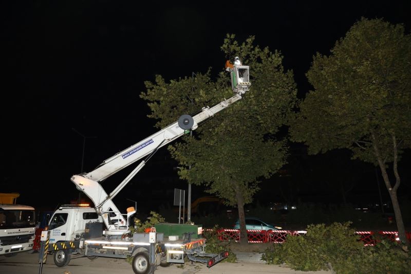 Yeni metro hattındaki ağaçlar kesilmek yerine taşındı
