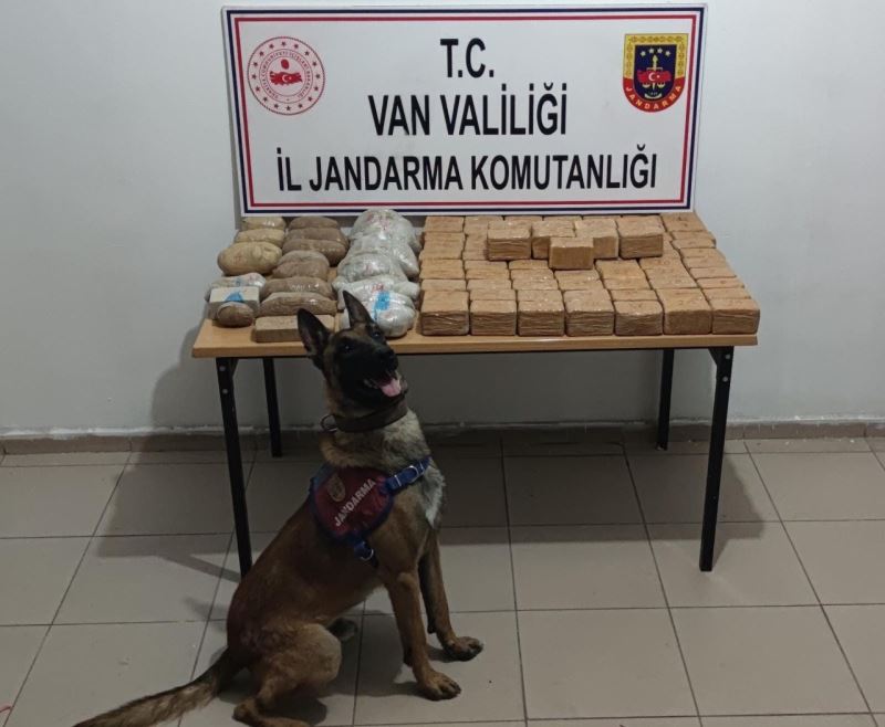 ‘Togo’ ile yapılan operasyonda 51 kilo eroin ele geçirildi
