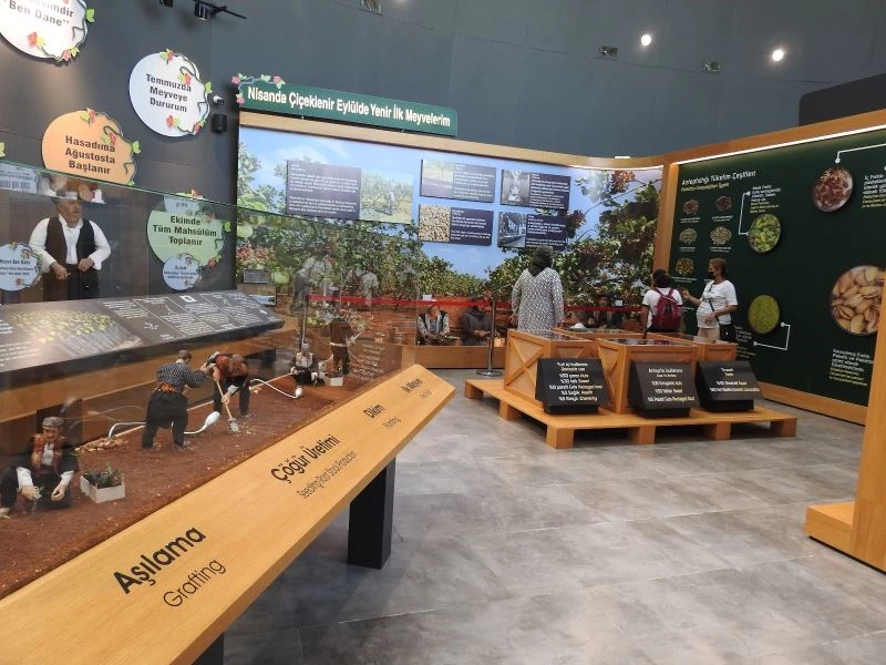 Fıstığın başkentinde fıstık gibi müze
