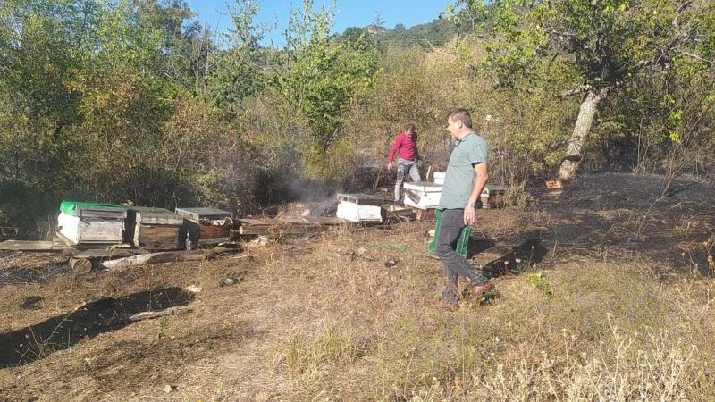 Bahçede çıkan yangın arı kovanlarını etkiledi
