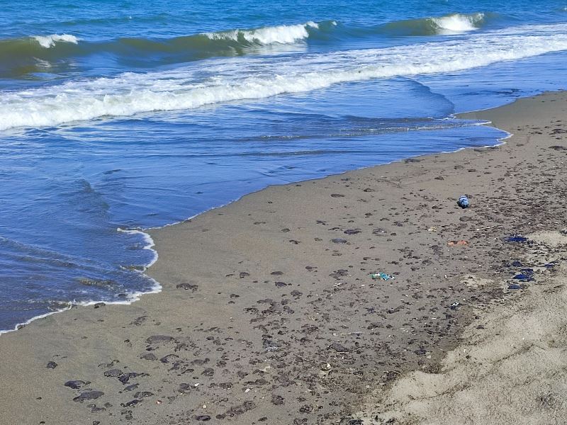 Samandağ’da petrol atıklarının temizliği 7 gündür sürüyor

