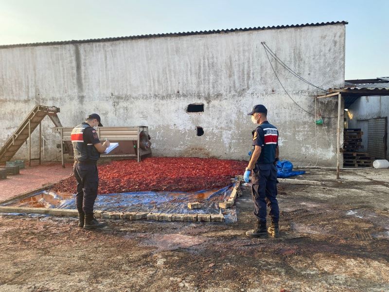 Hayvan damında ürettikleri salçayı vatandaşa yedireceklerdi
