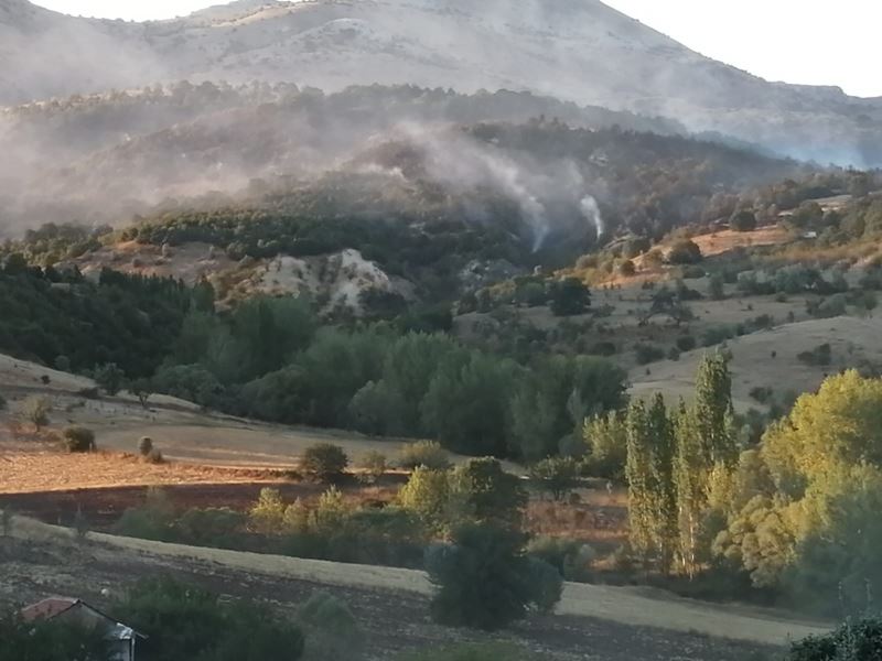 Ankara Çubuk’ta orman yangını
