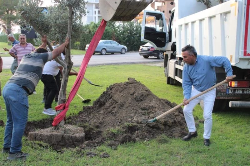 POYD vefat eden üyelerinin adını zeytin ağaçlarında yaşatacak