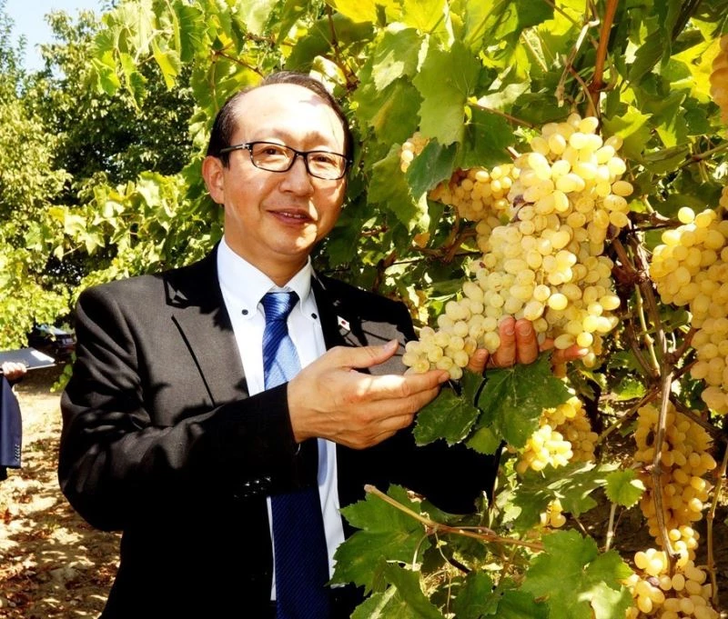 Japon Başkonsolos, Sarıgöl üzümlerine hayran kaldı
