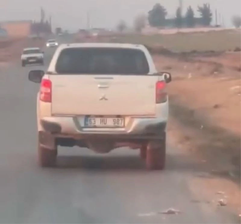 Cani sürücü silahla köpeği vurdu
