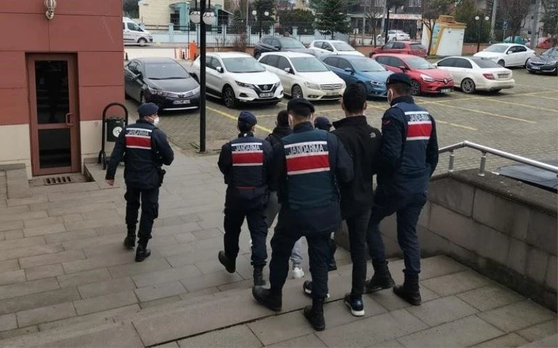 Traktörün arkasına takarak götürdüler
