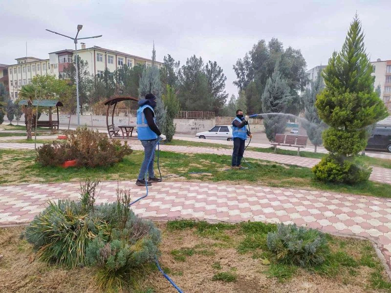 Suriye sınırında şark çıbanı alarmı
